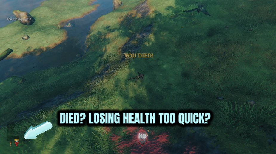 Iron Hide (God Mode & Health)